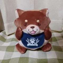もちしば 柴犬 ぬいぐるみ BIG おまけ付き