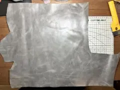 Item thumbnail for item 0cb3234b-8a93-49a9-9c85-39a52fa73b9c