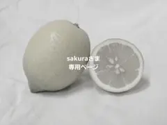 sakuraさま専用ページ