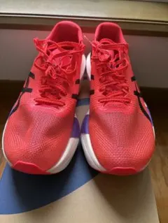 asics METASPEED SKY TOKYO 25.0cm