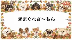 専用