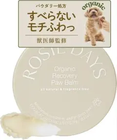 Item thumbnail for item 291656cf-f254-4bc2-9a45-6c58a6f6cba5