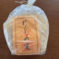 ミツハシ 令和7年産 玄米千葉県産コシヒカリ2kg 5袋 - メルカリ