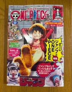 【雑誌のみ】 ワンピースマガジン 20号 ONE PIECE magazine