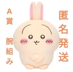 ちいかわ　うさぎだらけくじ　A賞　超BIGぬいぐるみ（腕組み） どうあがいても「うさぎ」が当たる！注目のちいかわ「うさぎ