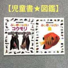 sumomochan様 リクエスト 2点 まとめ商品