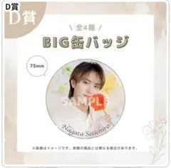 2025年最新】永田聖一朗 チェキの人気アイテム - メルカリ