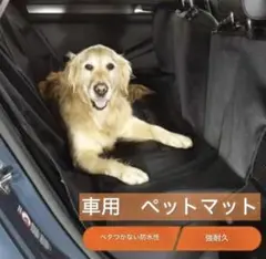 Item thumbnail for item 935cedc8-6d44-4cd8-9175-6d180ecceaa0