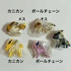 ポケモン　つまんでつなげてマスコット　ブイズ　5個セット　①
