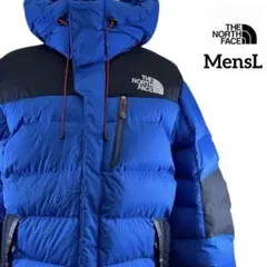 古着 THE NORTH FACE ダウンジャケット メンズ L
