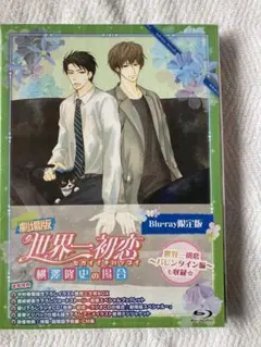 2026年最新】世界一初恋dvdの人気アイテム - メルカリ