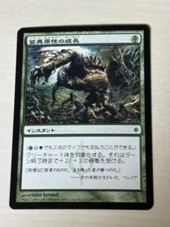 Item thumbnail for item db205840-57a3-4d2f-801f-971c65298959