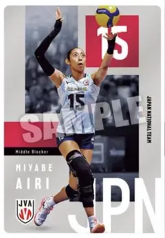 バレーボール女子日本代表ツインウエハース 宮部藍梨 カードのみ