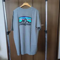 廃盤品 希少XXL 新品 パタゴニア フィッツロイ レスポンシビリティー 