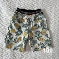 フタフタ　男の子用　水着　100