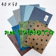 まお様専用【ハンドメイド】給食ナフキンお好きな4枚セット　男の子