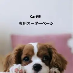 羊毛フェルト　オーダーページ