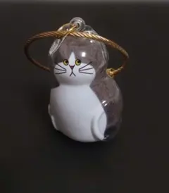 うちのこのけだまだま　猫(ハチワレ)