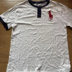 ポロラルフローレン Tシャツ ホワイト/ネイビー