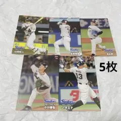 プロ野球チップス2024 東京ヤクルトスワローズ
