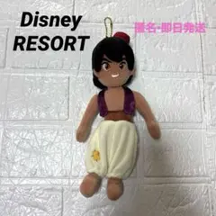 東京ディズニーリゾート アラジン ぬいぐるみバッジ ぬいば 即日