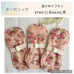 Item thumbnail for item 36fdd862-723d-485c-9117-640d1d49aabc