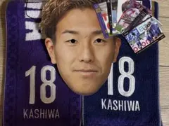 Item thumbnail for item b93b7b78-7d3b-4d16-8331-249acd102102