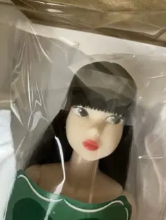 momoko doll Today’s momoko 2608 bk