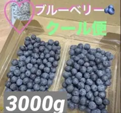 フレッシュ ブルーベリー 2000g クール便 フレッシュ ブルーベリー 2000g クール便 - メルカリ