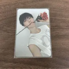 ホシ 17 is right here トレカ carat盤