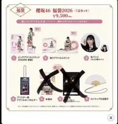 2026年最新】櫻坂46 アクリルスタンド bigの人気アイテム - メルカリ