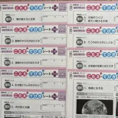 2026年最新】小6理科カラーテストの人気アイテム - メルカリ