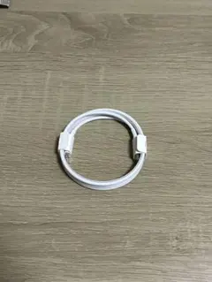 Apple純正 Type-Cライトニングケーブル 充電コード