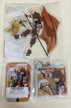REBORN!沢田綱吉・リボーン アクスタ・アクキー・缶マグネットセット