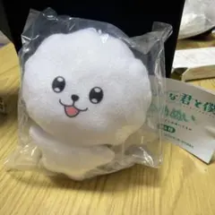 正反対な君と僕 ゆめぬい イエティ