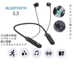 イヤホン　ワイヤレスイヤホ　Bluetooth 5.3 IPX5