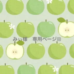 みぃ様　専用　オーダーページꕥ