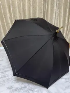 2025年最新】ALBION 傘の人気アイテム - メルカリ 