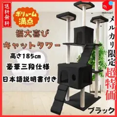 Item thumbnail for item b2a53af1-99cd-4db0-aade-ff19e73dec85