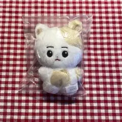 ENHYPEN ヒスン ぬいぐるみ トレカケース マスター　エンニマルズ