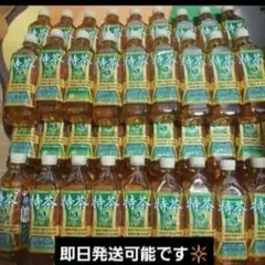 ラムネ様専用　特茶 S PREMIUM 500ml 38本セットのサムネイル