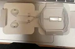 新品未使用アップル純正type C端子