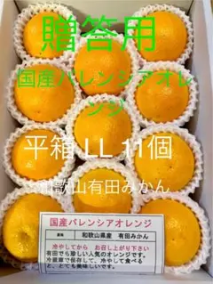 訳あり 国産バレンシアオレンジ L前後4kg /箱何でも/有田みかん - メルカリ