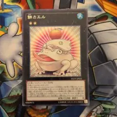 Suan様 リクエスト 2点 まとめ商品