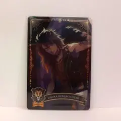 レオナ・キングスカラー メタカ