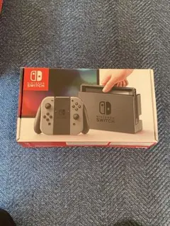 ゆ*き様 Nintendo Switch グレー 付属品セット