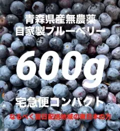 青森県産　無農薬　ブルーベリー　600gのサムネイル