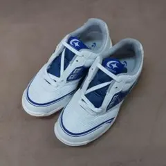 Item thumbnail for item 81a5c5b5-c691-43f7-813e-6c35f547b1d5