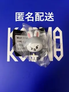 straykids skzoo サウナ　ガチャ　リービット　リノ