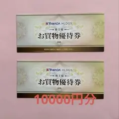 ヤマダホールディングス　株主優待券◎10000円分